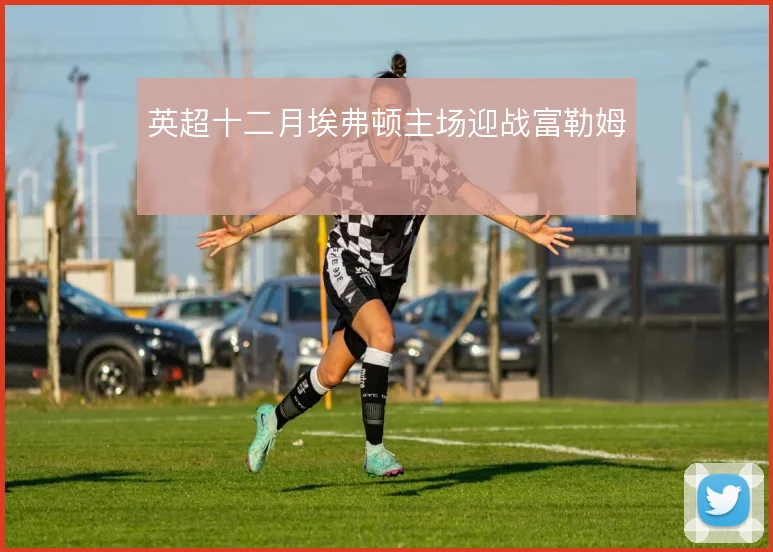 英超十二月埃弗顿主场迎战富勒姆