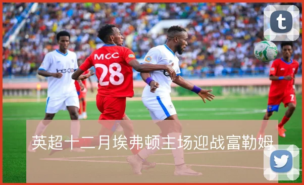英超十二月埃弗顿主场迎战富勒姆